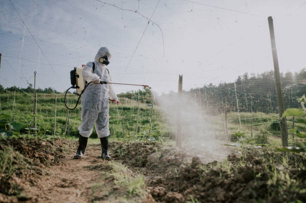 Best Insect Control  in Tatamy, PA