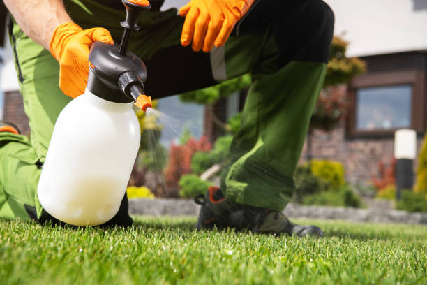 Best Pest Removal Services  in Tatamy, PA