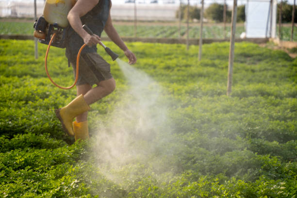 Best Affordable Pest Control Services  in Tatamy, PA