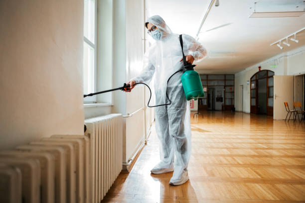Best Flea Control Services  in Tatamy, PA