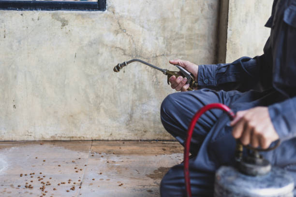 Best Best Pest Control Companies  in Tatamy, PA